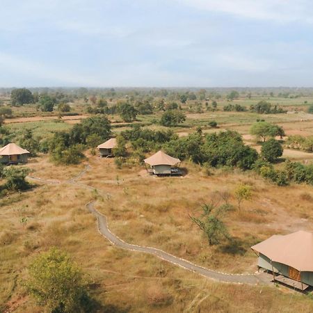 Trees N Tigers, Tadoba Hotel Kolāra Eksteriør billede